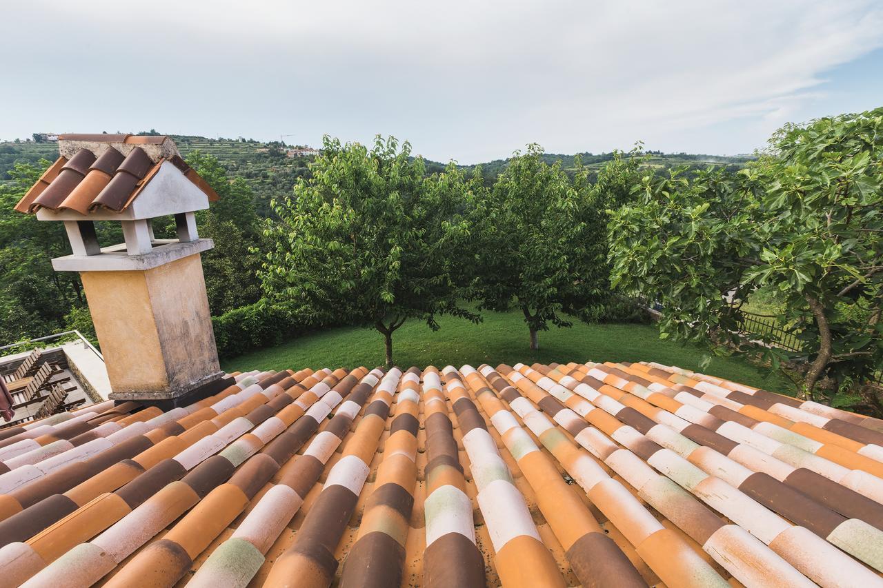 Villa Momiano With Private Pool Momjan Экстерьер фото